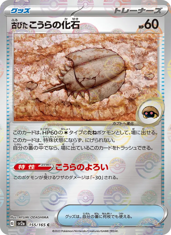 古びたこうらの化石 (151 #152/165)