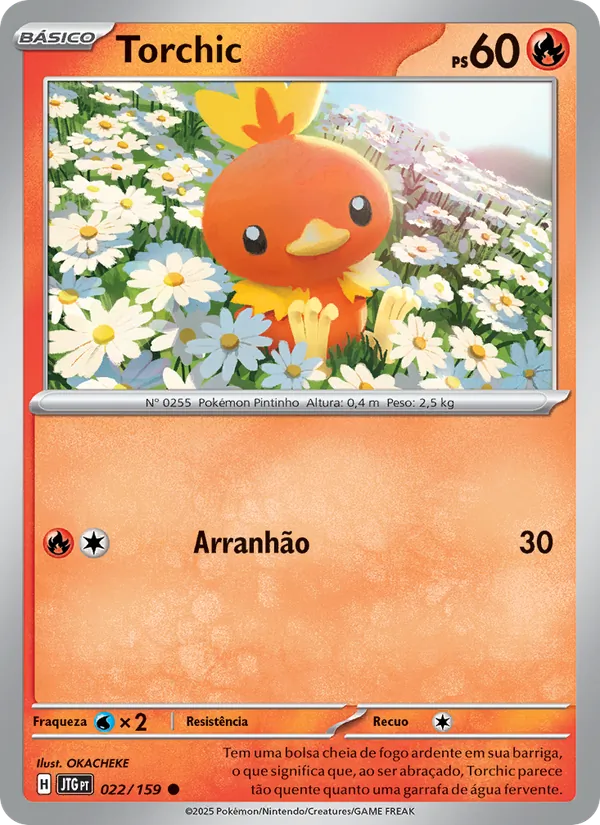 Torchic (Journey Together #022/159)
