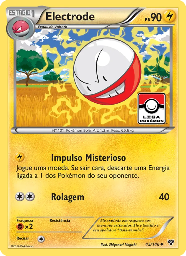 Electrode (XY #45/146)