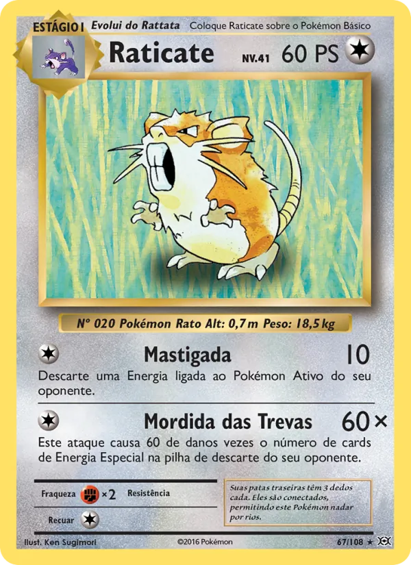 Raticate (Evolutions #67/108)